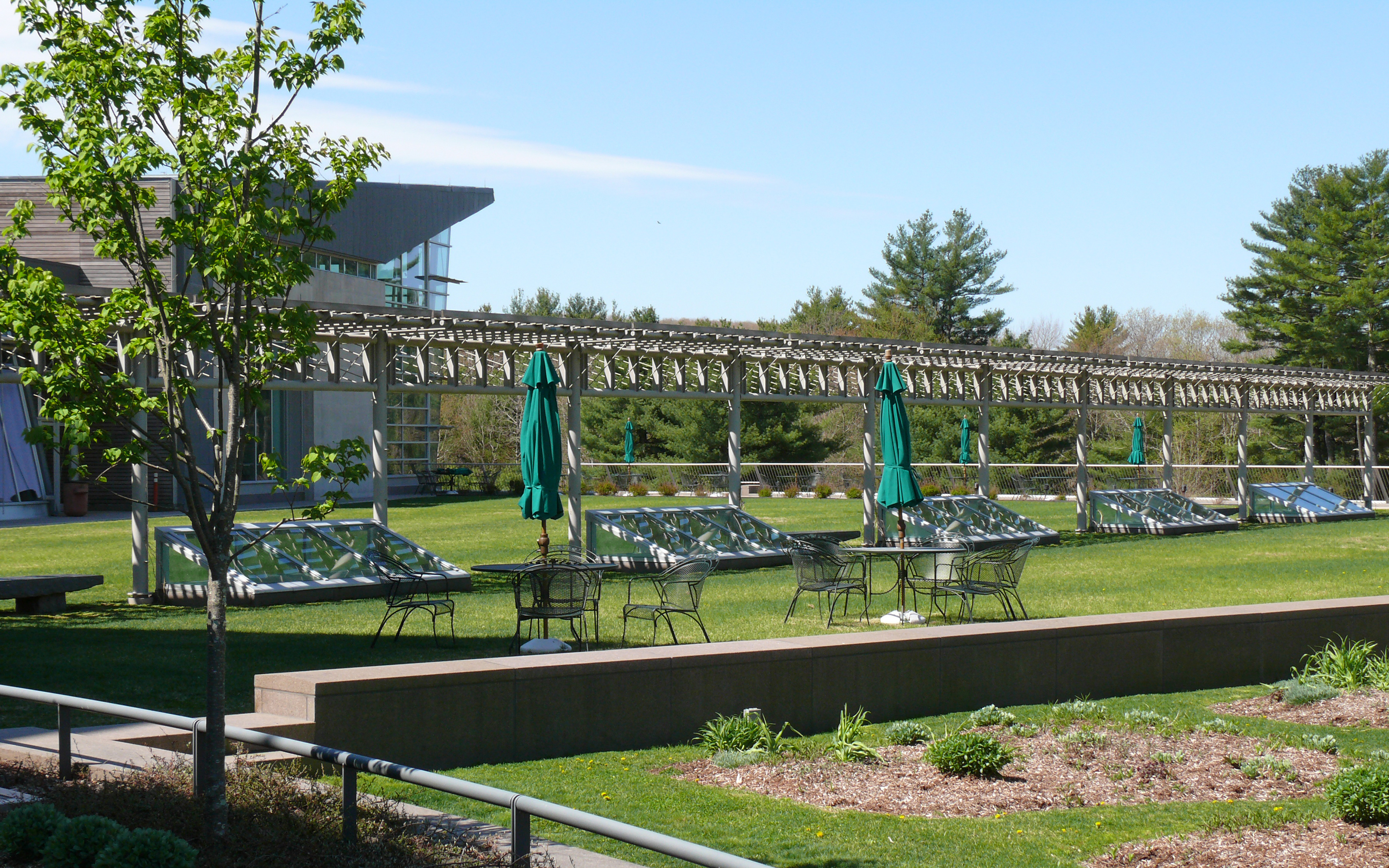 Lawn with seating area and patio umbrellas